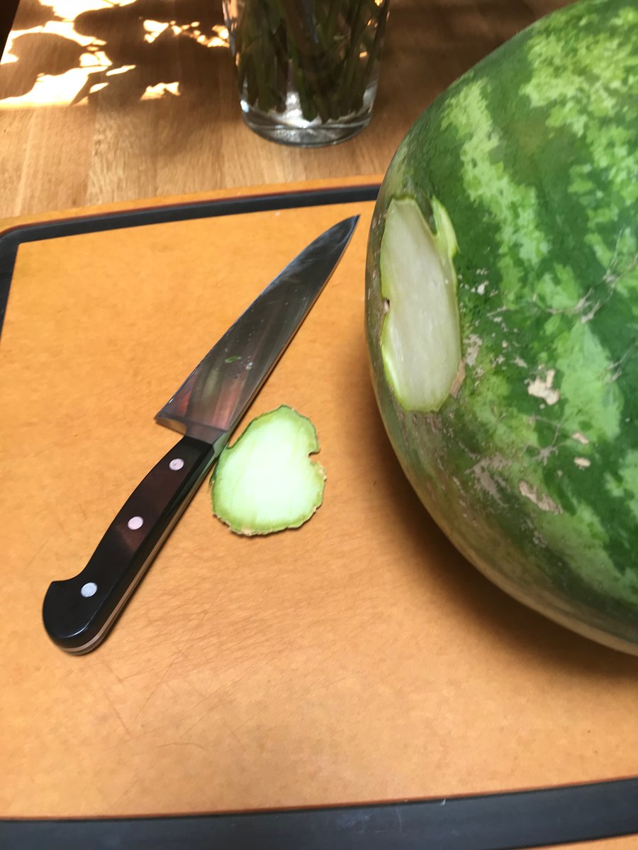 The Knives You Never Knew You Needed
